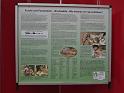 VIVARIUM Krokodil Artenschutz-Ausstellung4